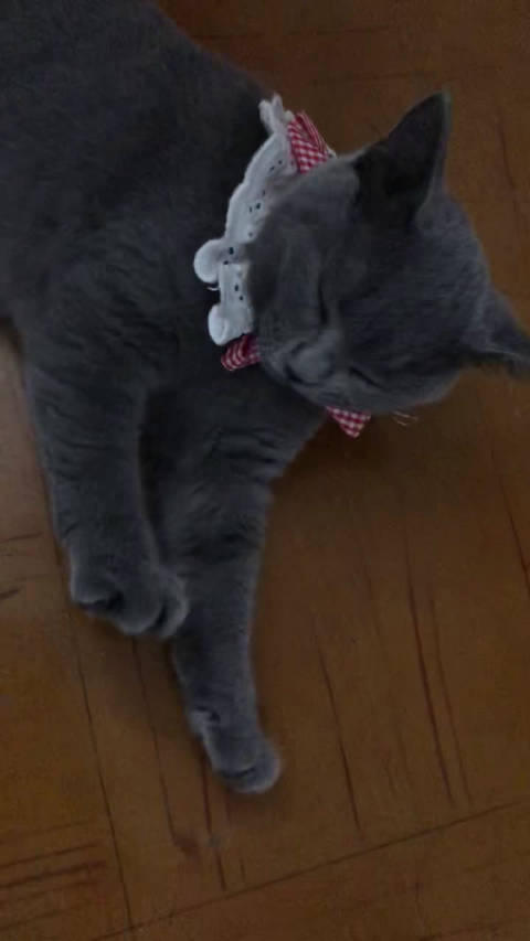 风湿性关节炎的食疗方法“英亚官网”(图3) 英亚官网首页