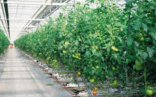 如何选择能提高免疫力的营养品‘英亚官网’(图1) 英亚官方网站