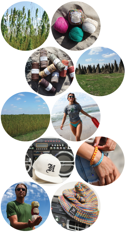 什么是生蜂蜜和熟蜂蜜|英亚官网(图2) 英亚官网首页