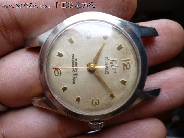 英亚官方网站:美丽的蒲公英—低调的养生专家!(图1) 英亚官方网站