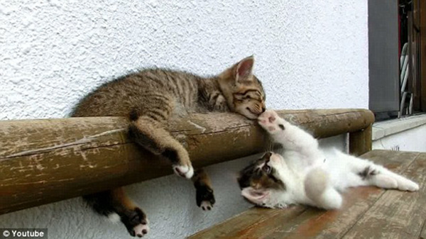 英亚官网首页:为什么药厂喜欢重磅支柱产品?(图1) 英亚官网