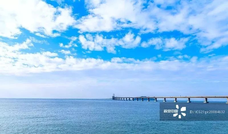 居民“蹭”杜仲树引争议 专家称容易致疾病传染:英亚官方网站(图1) 英亚官网