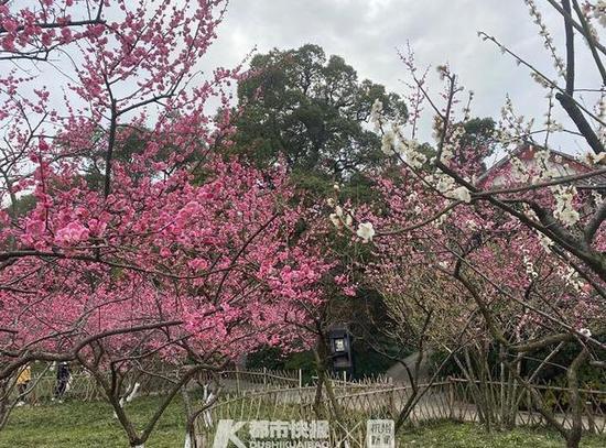 秋季来临正是静脉曲张治疗的好时机|英亚官方网站(图1) 英亚官网