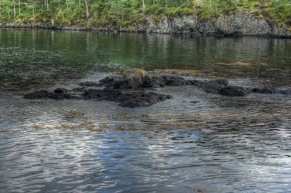 ‘英亚官方网站’万松堂瑶族巴马神汤 祛病强身(图4) 英亚官方网站