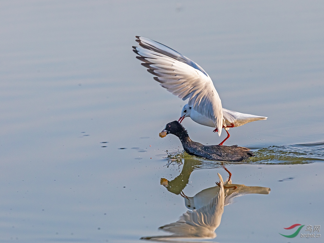 ‘英亚官网首页’残疾父亲攒钱15年为烧伤养女整形(图2) 英亚官方网站