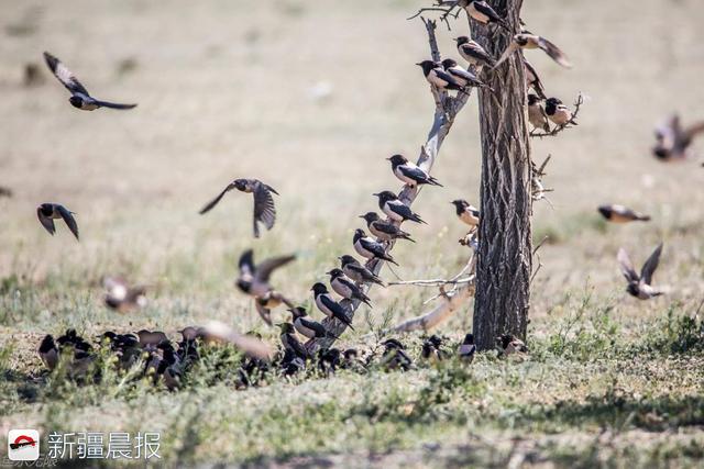 英亚官网|黑幕:美容机构非法兜售药品牟利(图1) 英亚官网