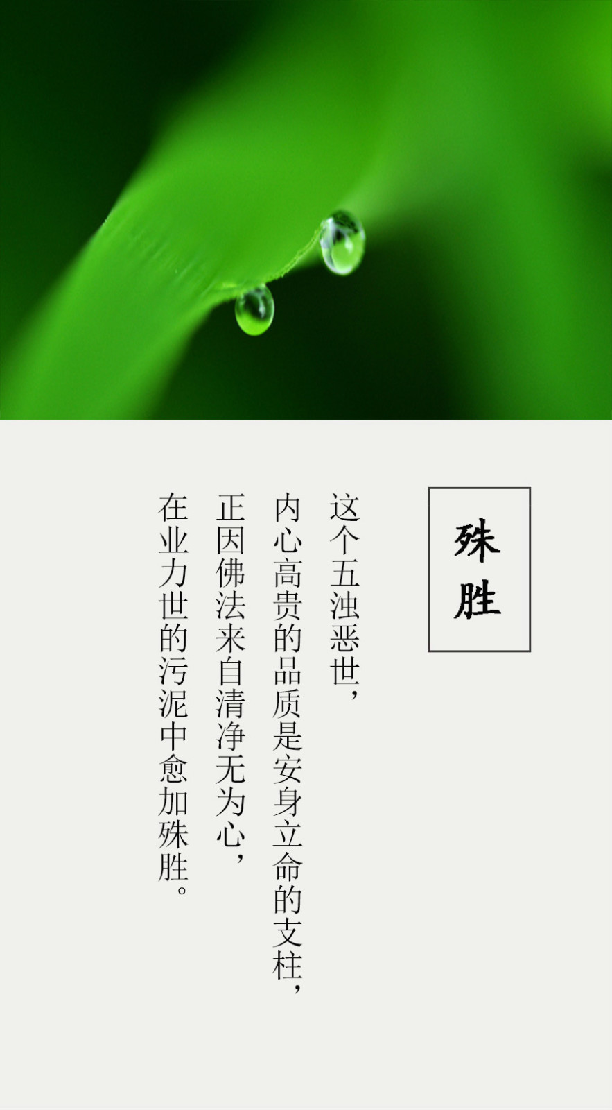 【整形口碑】广州广美整形顾浩主任的面部整形“英亚官方网站”(图2) 英亚官方网站