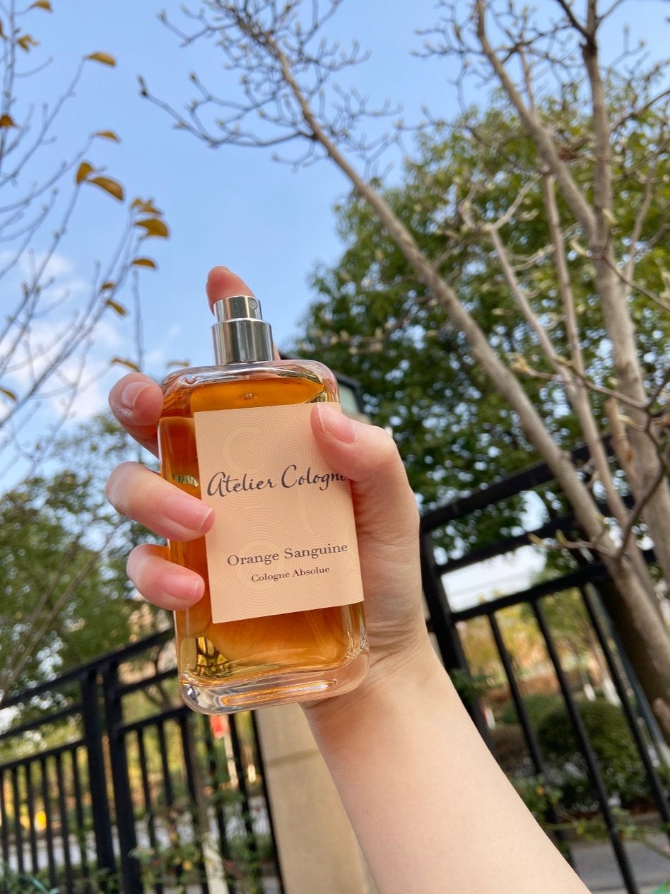 乌饭子的功效和作用_英亚官网(图1) 英亚官网