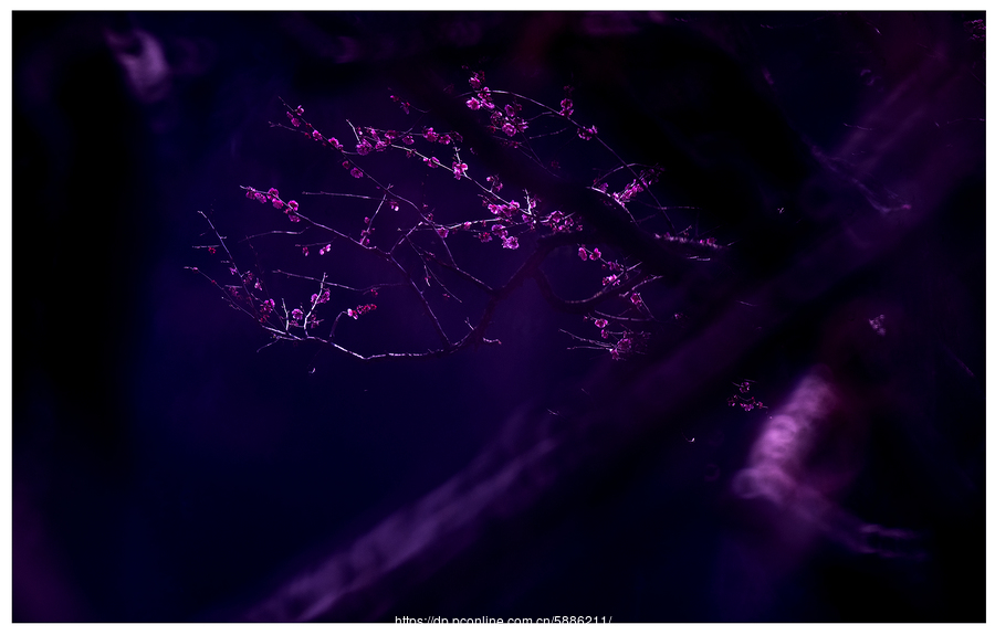 【英亚官方网站】《银魂》第四季ED众人大换装 浓浓中国风美翻天(图2) 英亚官网