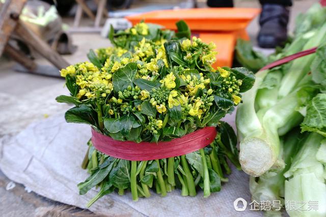 2019年深圳假体隆胸价格及医院口碑分析“英亚官网”(图1) 英亚官方网站