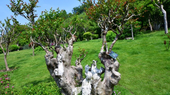 经典美容师销售技巧和话术【英亚官网】(图3) 英亚官网首页