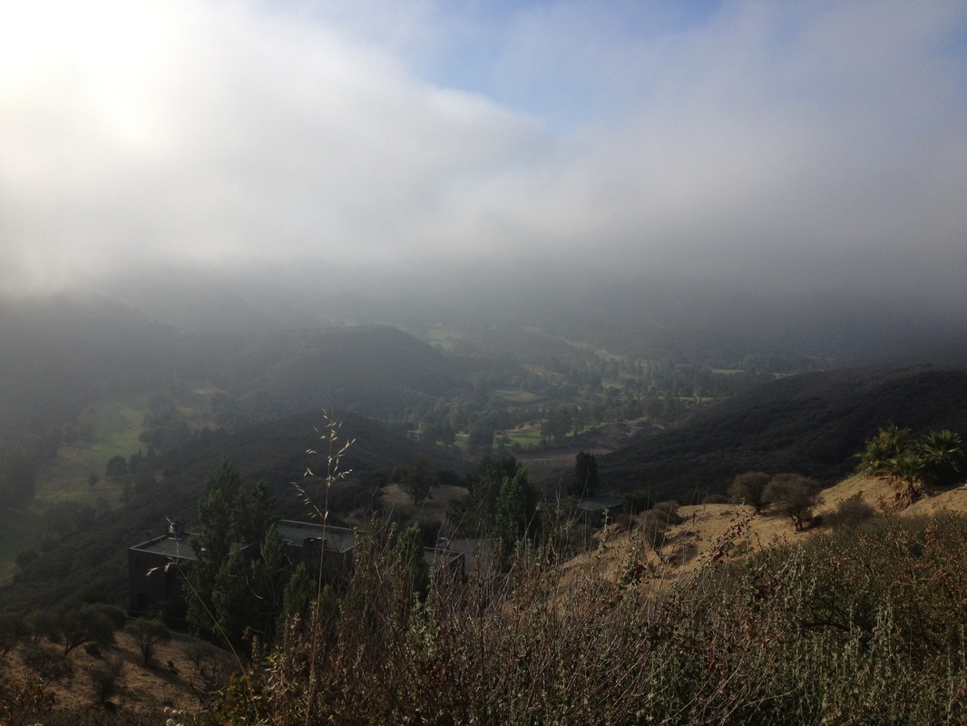 英亚官网首页|不是所有食物都适合使用保鲜膜(图2) 英亚官网