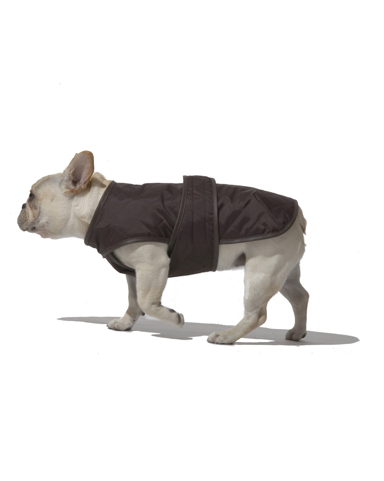 男性如何提高精子活力?_英亚官网(图1) 英亚官网