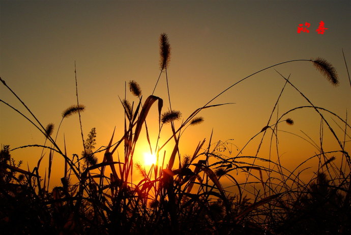 英亚官方网站_【品牌整形】上海美之源被众多求美者赞誉(图2) 英亚官方网站