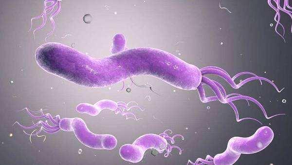 英亚官网首页_爱因康虫草胶囊 增强免疫力(图1) 英亚官方网站