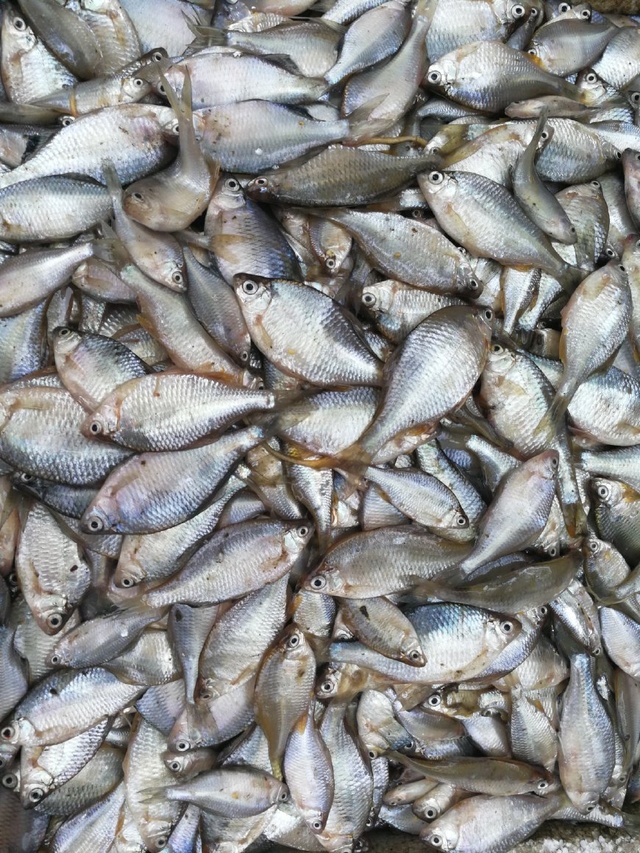 英亚官方网站-16岁模特花67元整容后 难过后悔了一生(图1) 英亚官网首页