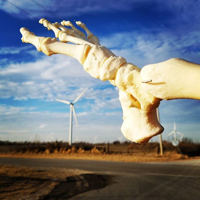 「游戏王VRAINS」今年5月播出!追加声优名单发表啦~:英亚官方网站(图1) 英亚官网