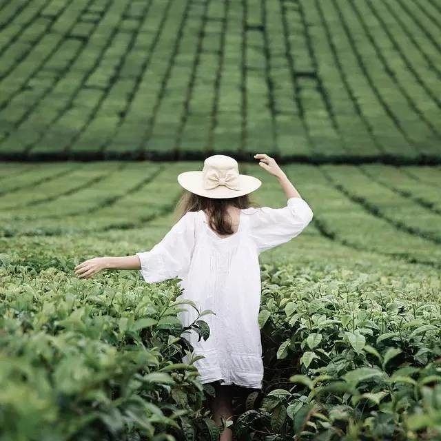 英亚官方网站_五官这样调养,让你比别人年轻许多!(图3) 英亚官网