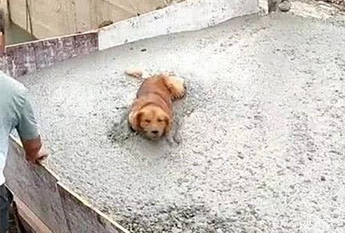 “英亚官方网站”整形黑科技又来了,你能接受你的那个TA整容吗?(图2) 英亚官网