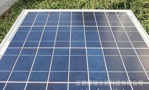 海狗油的功效与作用【英亚官网首页】(图1) 英亚官网