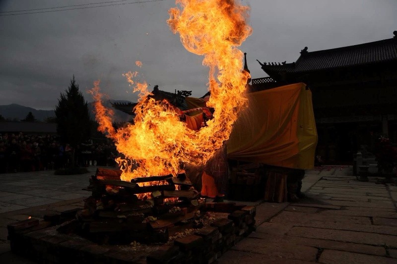 黄茶的种类和泡法-英亚官网(图1) 英亚官网首页