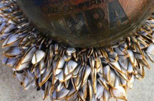 为什么裤带越短寿命越长(图):英亚官网首页(图1) 英亚官网首页