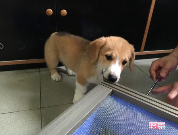 英亚官网首页-甘肃开展专项行动严厉打击非法“微整形”(图1) 英亚官网首页