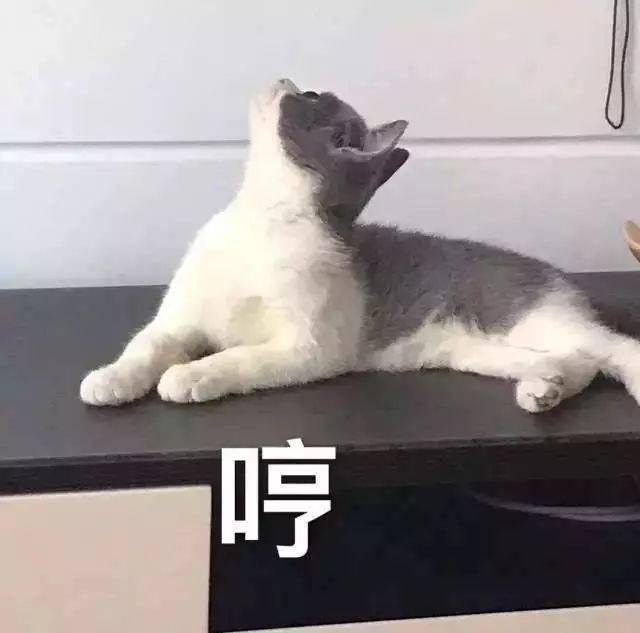 英亚官网