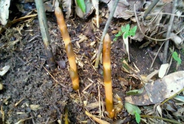 英亚官网首页