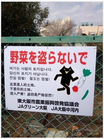 ‘英亚官网首页’哪些人不适合吃燕窝呢?(图1) 英亚官网首页