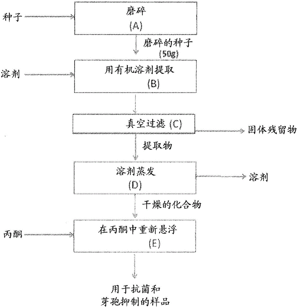 英亚官网首页|激光美容到底靠不靠谱(图1) 英亚官方网站